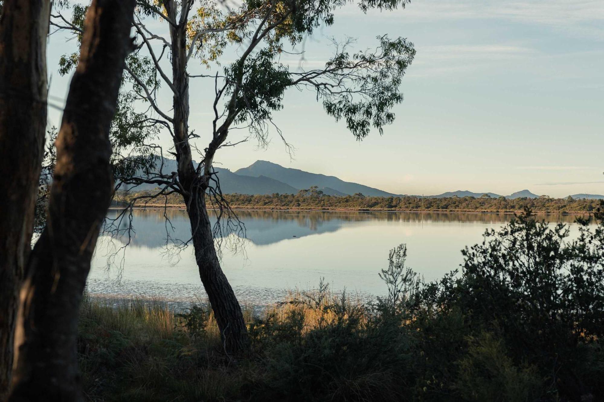Numie - Freycinet Peninsula - Glamping - Heated - Waterfront Hotel Coles Bay Exterior photo
